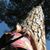 Radostina Kalcheva's profile image