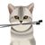 Marney Finkle's profile image