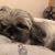 Alma Rosa Vera's profile image