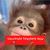 Nicole Yemothy's profile image