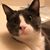 Liz Smith's profile image