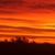Chuck Shoup's profile image