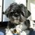 Tracey Moore's profile image