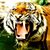 Jerry Jaleel's profile image