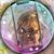 Rosemarie Mueller Boehme's profile image