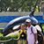 Sujit Vijayappan's profile image