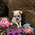 Marcia Henderson's profile image