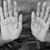 Sandra Marinelli's profile image