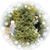 Lisa Scholz's profile image