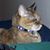 Christina Graham's profile image