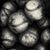 Carrie Barton Bumbarger's profile image