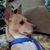 Donna Vincent Krimminger's profile image