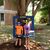 Debra Ann Alpizar's profile image