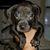 Bruce Phuong Phan's profile image