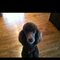 Liz B.'s profile image