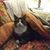 Ali Bidlack's profile image