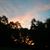 Julie Colvin's profile image