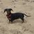 Marilyn Nieman's profile image