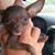 Rosie Garcia-Ordaz's profile image