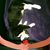 Tanja Ketisch's profile image