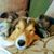 Edie Hoggenmiller Snyder's profile image