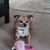 Sue Vaughn's profile image