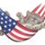 Tom Moser's profile image