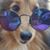 Rurik Hover's profile image