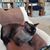 Joe Pitner's profile image