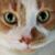 Donna Nagel Roberts's profile image