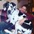 Brenton Ridgway's profile image