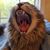 Linda Barrett Bazil's profile image