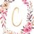 Cyndi Jackson's profile image