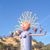 Karen Stiles's profile image