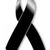 Lorena Morales's profile image
