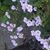 Kathy Gibler's profile image