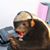 Julio Ventura's profile image