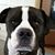 Kaylene Marie's profile image