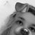 Lauren McMullen's profile image