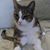 Janet Bencini's profile image