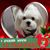 Cyndie Foreman's profile image