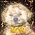 Priscilla Lopez's profile image