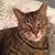Gloria Schneider's profile image