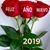 Martha Castñeda's profile image