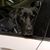 Sandy Gilbertson's profile image