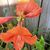 Maria Elena Villegas Ulibarri's profile image