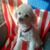 Mike Reichart's profile image