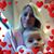 Fernanda Pedemonte's profile image