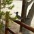 Joann Banbury's profile image