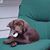 Patricia Richards Wallace's profile image